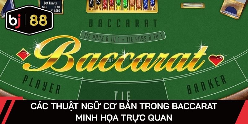 Các thuật ngữ cơ bản trong baccarat minh họa trực quan