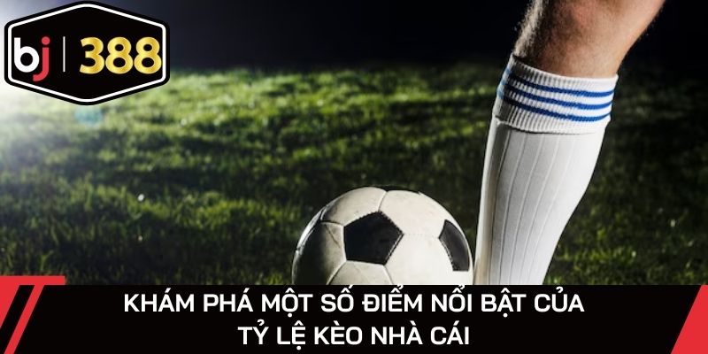 Khám phá một số điểm nổi bật của tỷ lệ kèo nhà cái