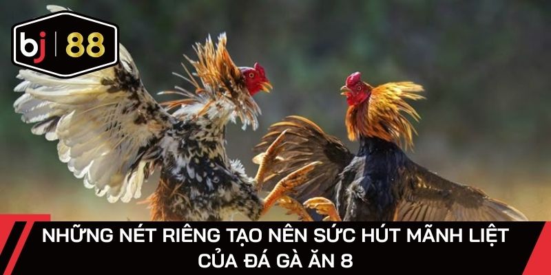 Linh kê tung đòn phản công mạnh mẽ trên sàn đấu đá gà ăn 8