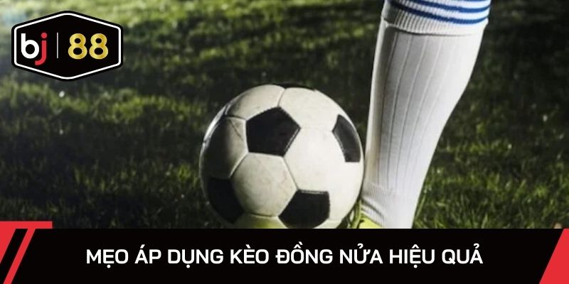 Mẹo áp dụng kèo đồng nửa hiệu quả